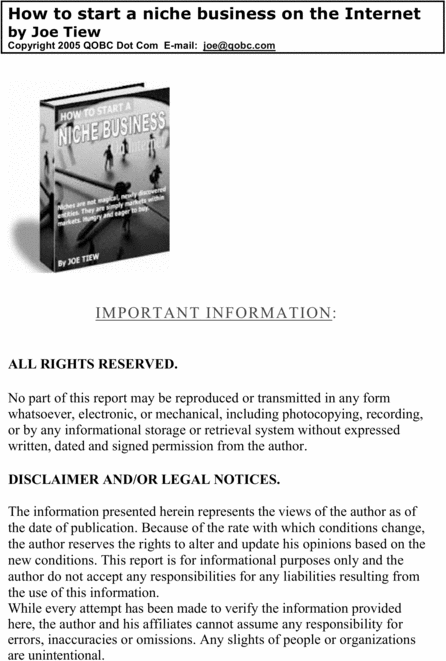 Product picture How to Start A Niche Business On Internet 